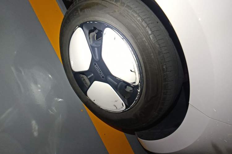 Used Qiyuan Lumin 2022 210km Sweet Edition