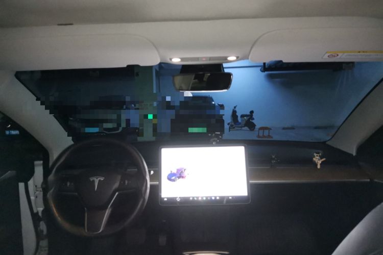 Used Tesla Model 3 2022 Rear-Wheel-Drive Version