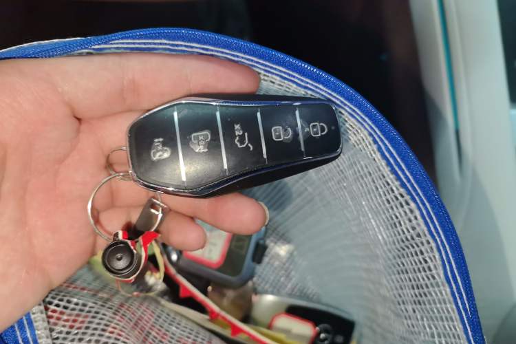 Used BYD Xia 2025 DM-i 1.5T 180km Beyond Edition
