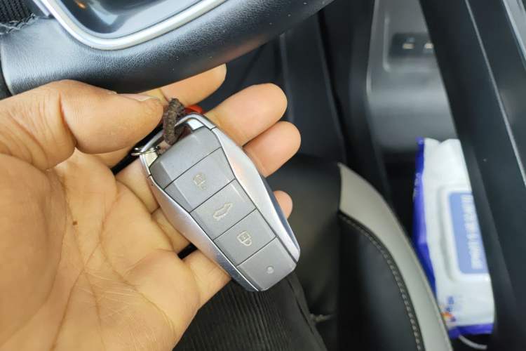 Used SOL E10X 2022 Flower Fairy Style Baby's Breath