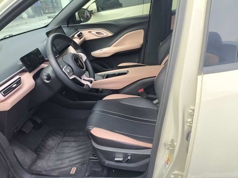 Used BYD Seagull 2025 405 km Flying Edition — 14