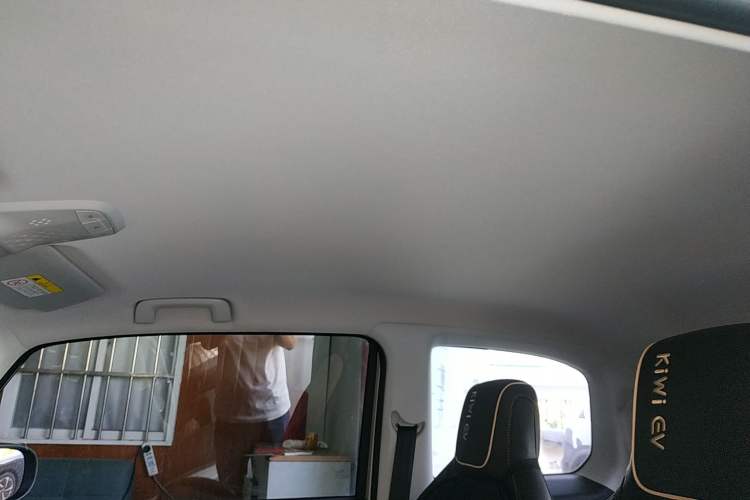 Used Baojun KiWi EV 2022 Designer Lite Edition Ternary Lithium Headliner