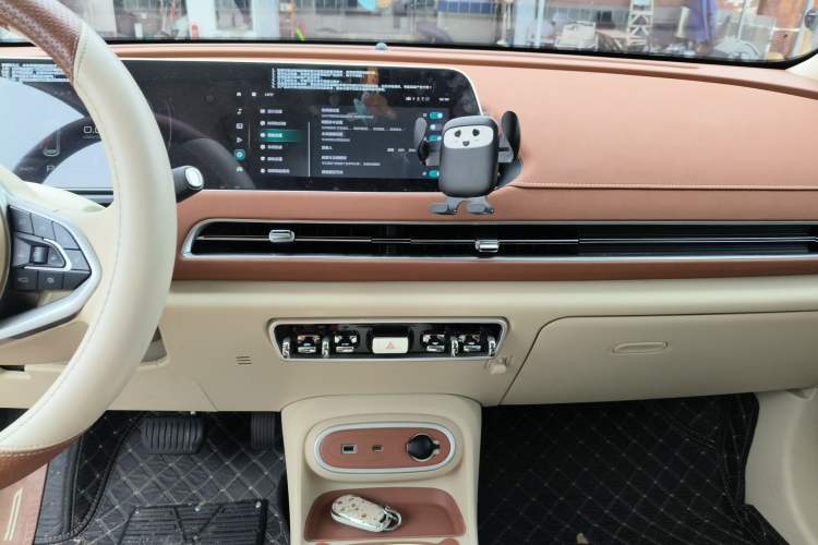 Used ORA Good Cat 2024 401 km Luxury Version Audio And AC Panel