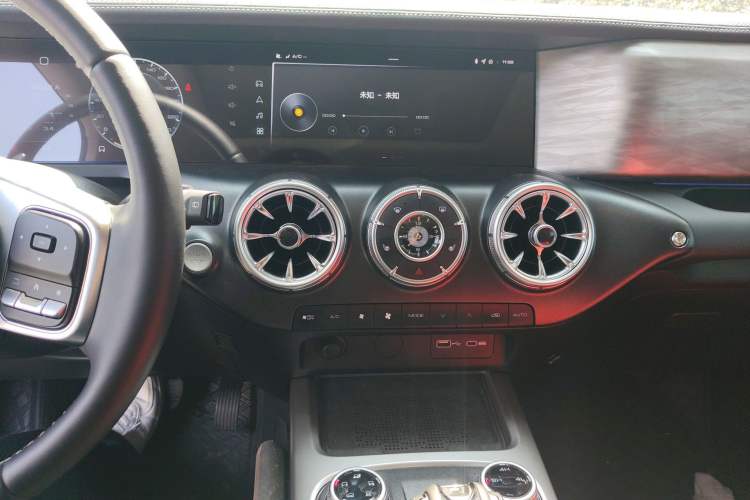 Used Tank 300 2024 2.0T Conqueror