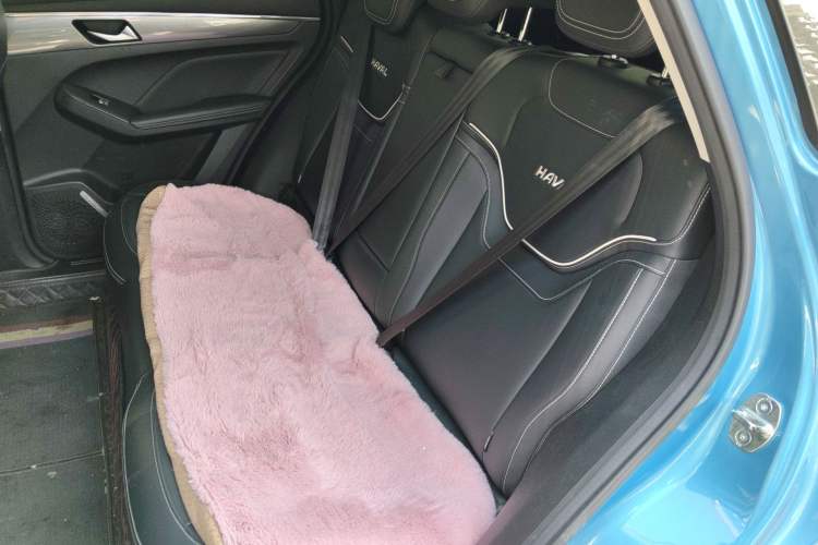 Used Haval JOLION 2021 1.5T Automatic Four-Door Version
