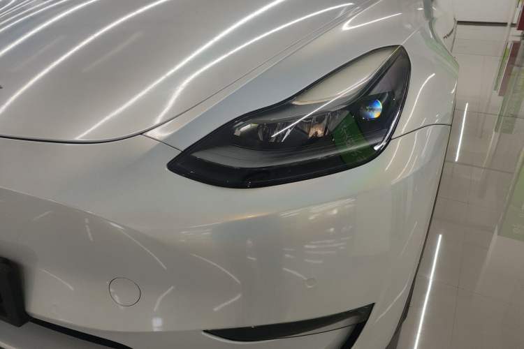 Used Tesla Model Y 2021 Standard Range Rear-Wheel Drive Version
