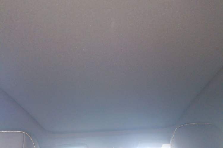 Used AION Y 2022 70 Enjoyment Edition Lithium Iron Phosphate Headliner