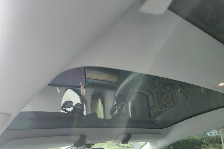 Used Tesla Model 3 2020 Revised Version Standard Range Rear-Wheel Drive – Upgraded Edition Headliner