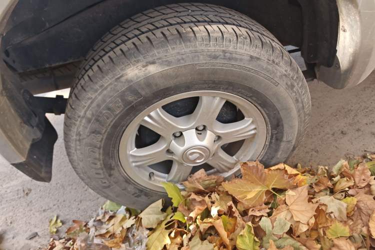 Used Great Wall Wingle 5 2021 2.0T Diesel Two-Wheel Drive Elite Version Big Double Cab China VI Standard GW4D20M
