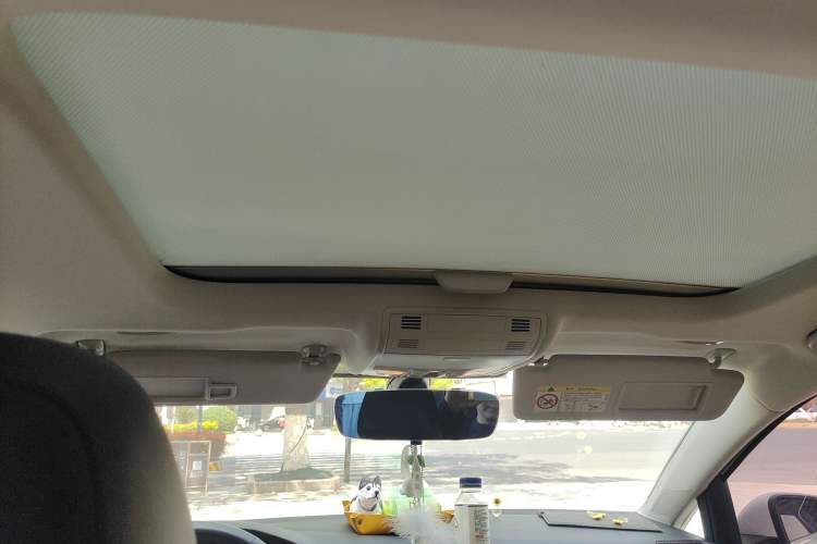 Used Volkswagen Golf Pure Electric 2020 Chari Headliner