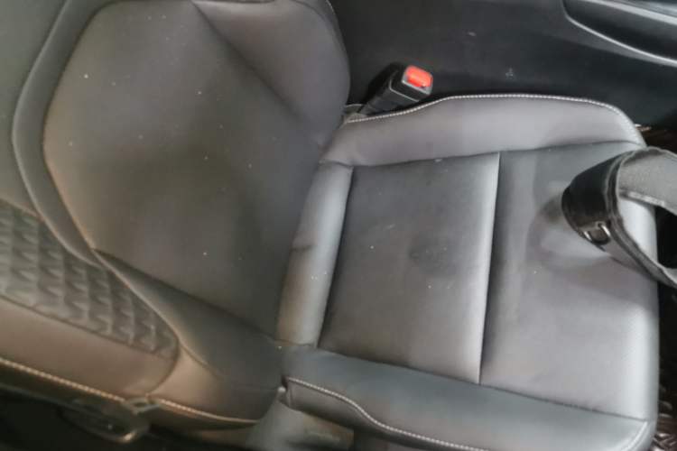 Used Lexus UX New Energy 2020 300e Pure·Enjoy Edition Right Front Seat