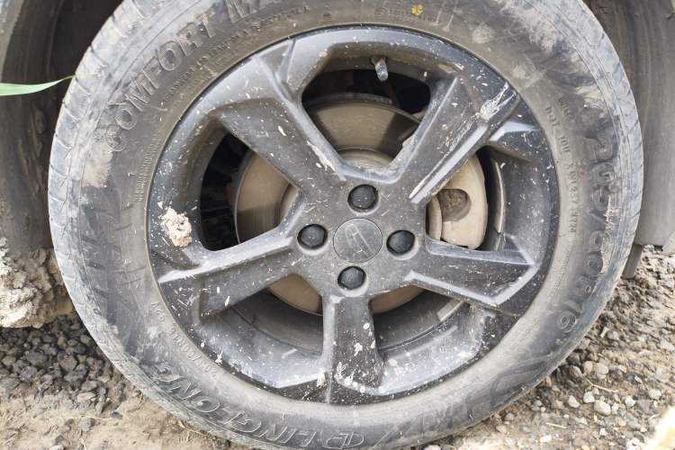 Used Geometry E Firefly 2023 401KM Linglong Tiger 5-Seater
