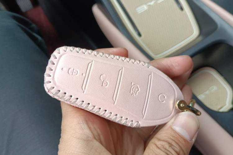 Used BYD Seagull 2023 Flying Edition