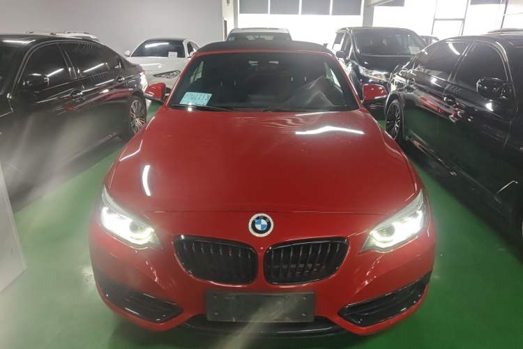 Used BMW 2 Series (Import) 2019 225i Convertible Coupe Sports Design Package