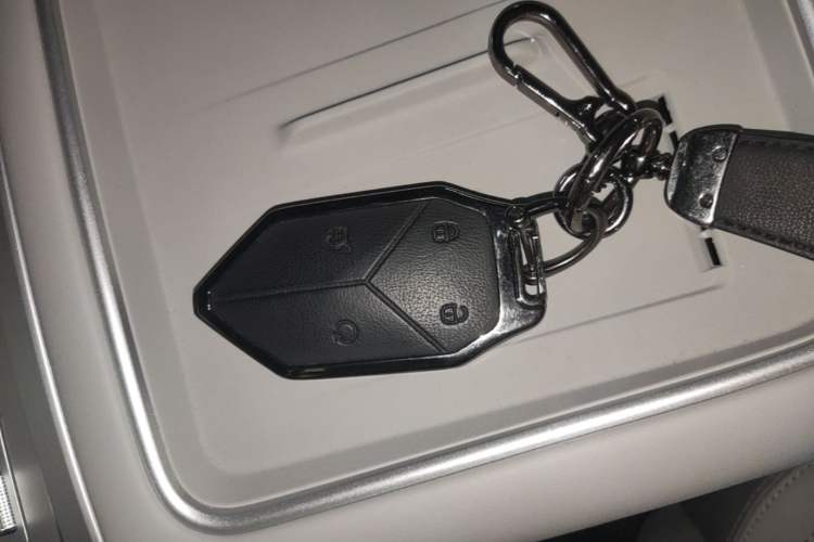 Used Formula Leopard Tai 7 2025 Model 190 km Four-Wheel Drive Ultra Edition