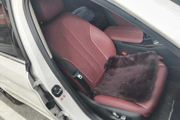 Used BMW 5 Series 2022 Restyled 525Li Luxury Package
