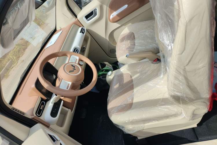 Used Wuling Hongguang MINIEV 2024 3rd Generation 215km Youth Edition Left Front Seat