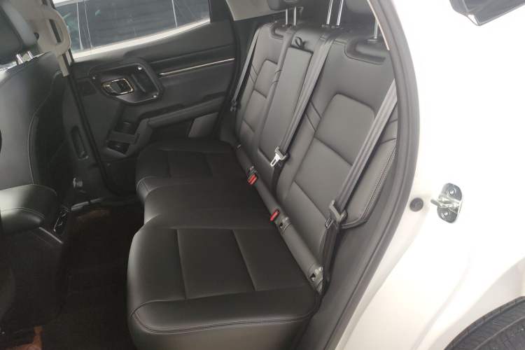 Used Haval H Dog New Energy 2023 DHT-PHEV 105km Tide Electric Version Plus Left Rear Seat