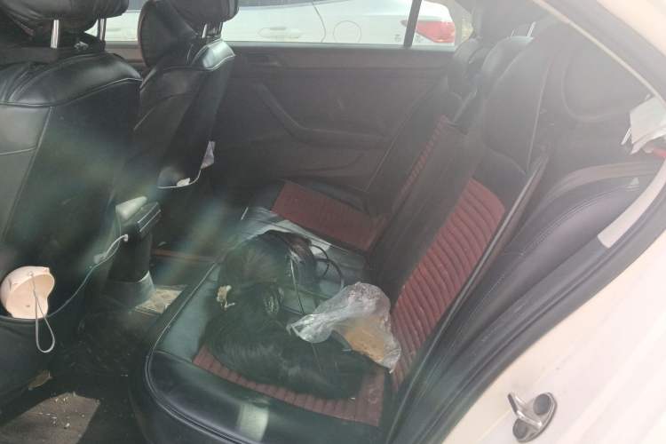 Used Volkswagen Santana 2019 1.5L Automatic Fashion Edition China VI Left Rear Seat