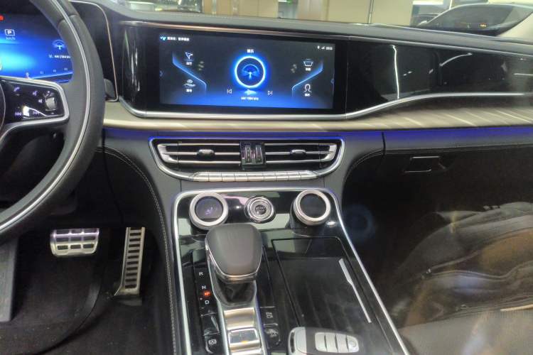 Used Hongqi H9 2020 2.0T Smart Connect Flagship Edition