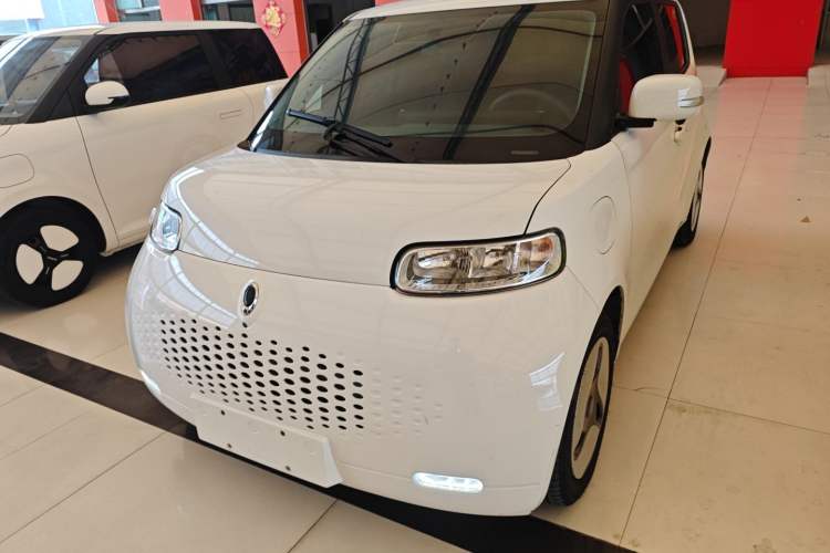 Used ORA White Cat 2020 305 km Luxury Version