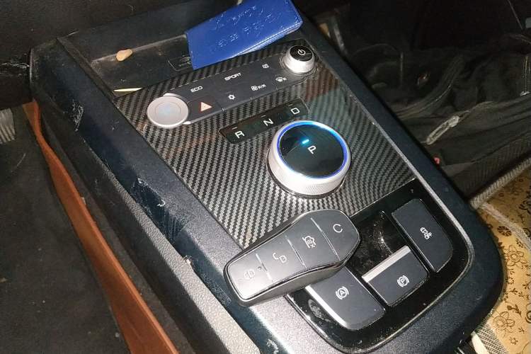 Used BYD e2 2020 Upgraded Version Long-Range Edition Luxury Model Gear Lever