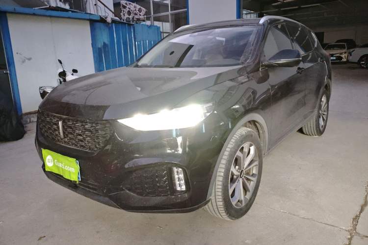 Used Wey VV6 2019 2.0T Two-Wheel-Drive Ultra-Luxury Version China VI Standard