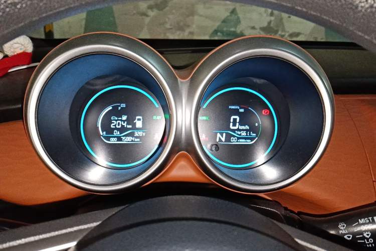 Used ORA Black Cat 2019 310km Fun Edition