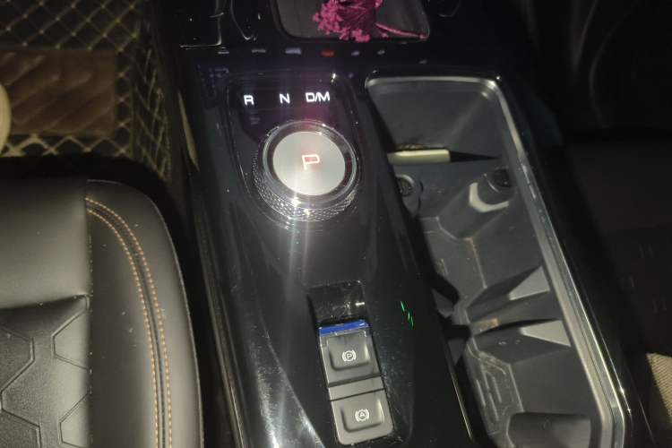 Used Haval DARGO 2022 2.0T DCT 4x4 Chinese Rural Dog Edition
