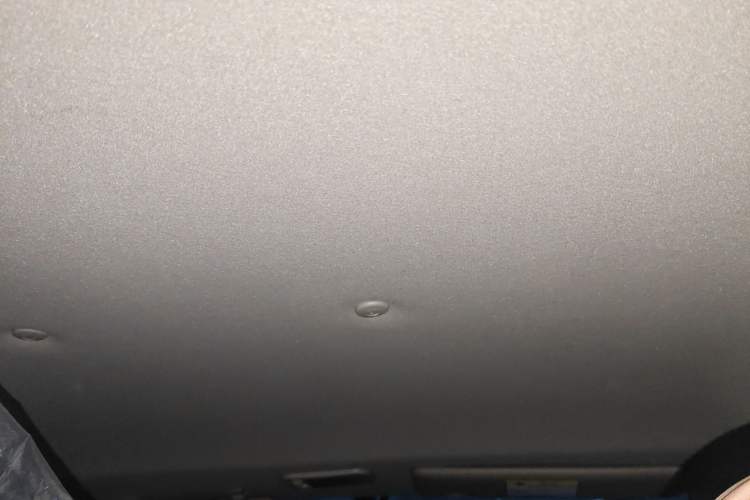 Used FORTHING Lingzhi 2020 M5L 2.0L Base Model 7 Seats
