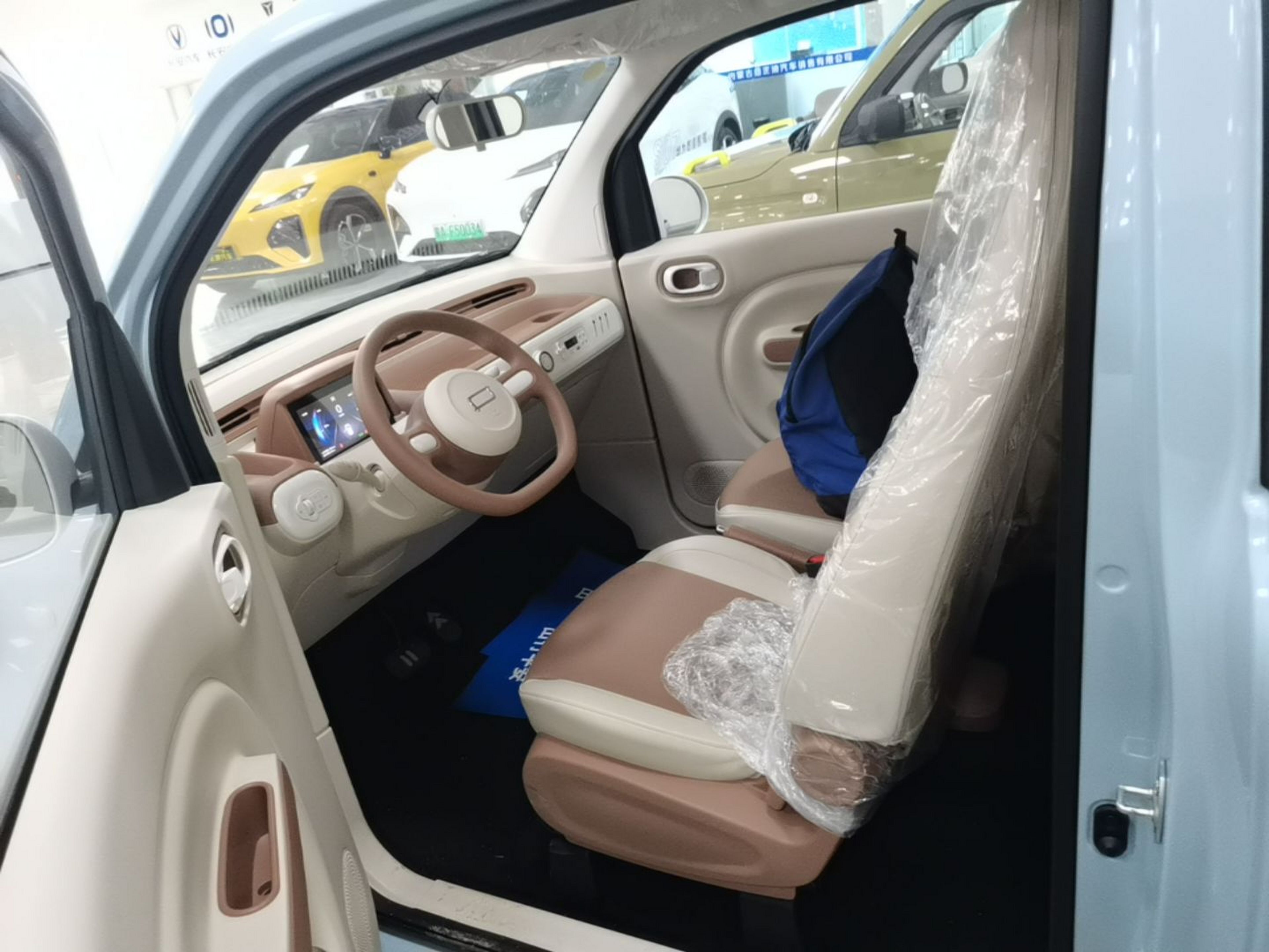 Interior delantero