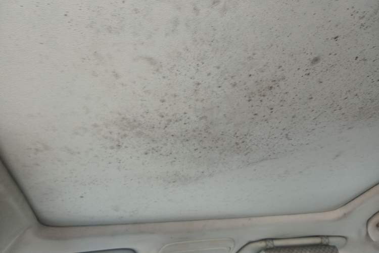 Used Soueast DX7 2015 1.5T Manual Luxury Model
