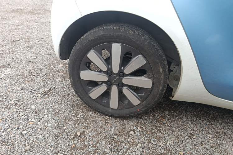 Used ORA Black Cat 2019 351 km Family Edition