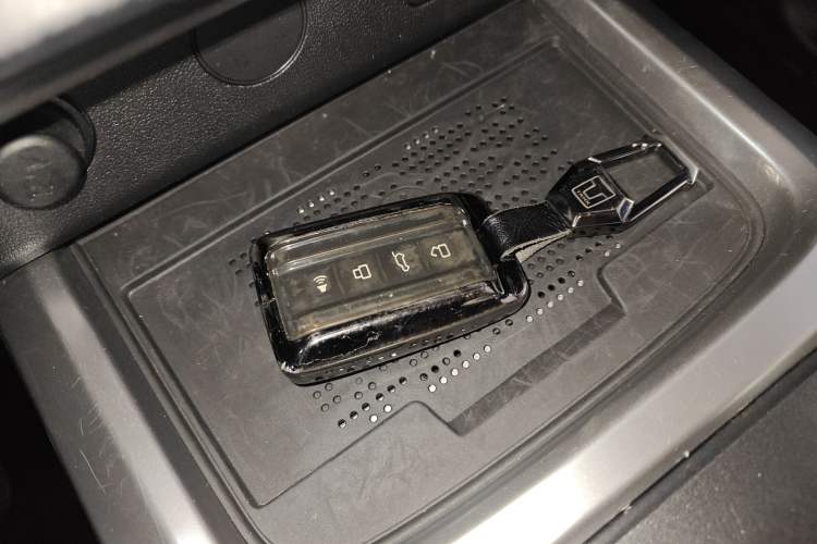 Used Tank 300 2024 2.0T Crosser
