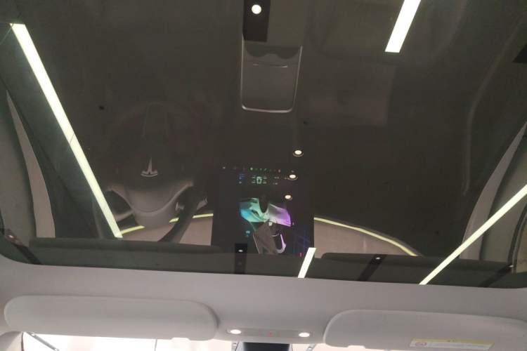 Used Tesla Model Y 2024 Rear-Wheel-Drive Version Headliner