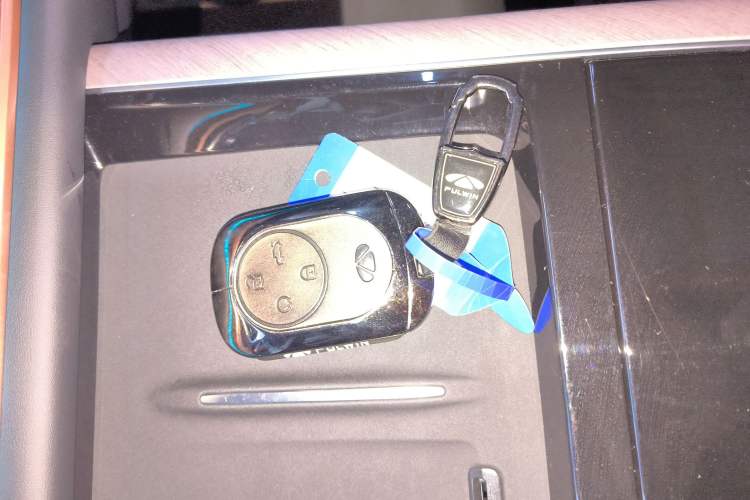 Used Chery Fengyun T10 2024 210 Luxury Edition