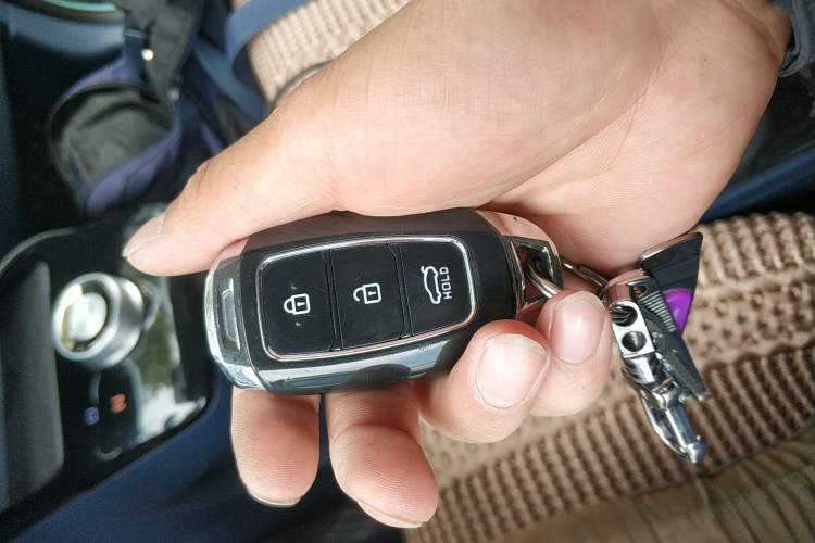 Used Geometry E Firefly 2022 320KM Cute Tiger 5-Seater