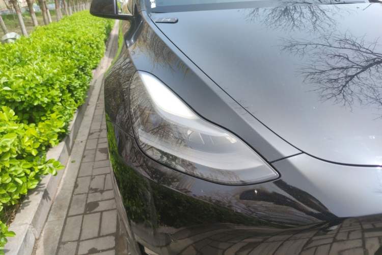 Used Tesla Model Y 2021 Long-Range All-Wheel-Drive Version 3D7