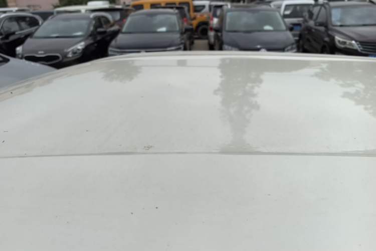 Used BYD Seagull 2025 Intelligent Driving Version 305 km Dynamic Edition