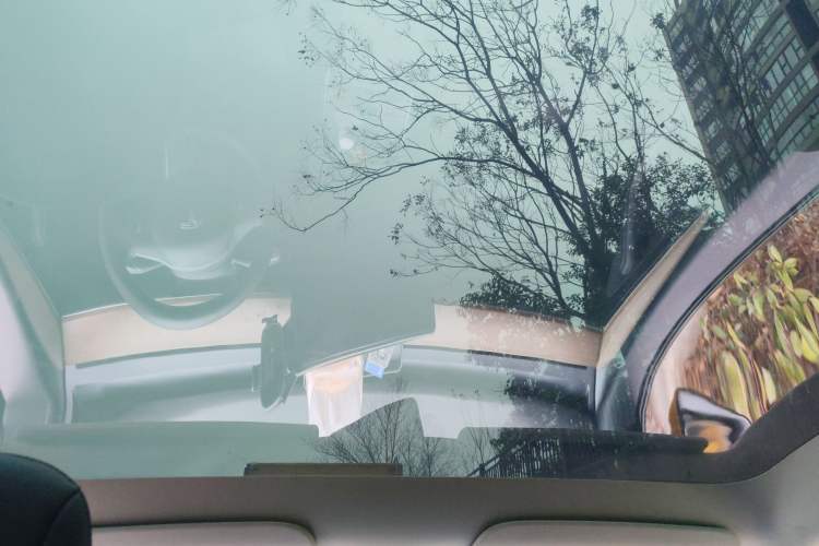 Used Tesla Model Y 2021 Standard Range Rear-Wheel Drive Version Headliner