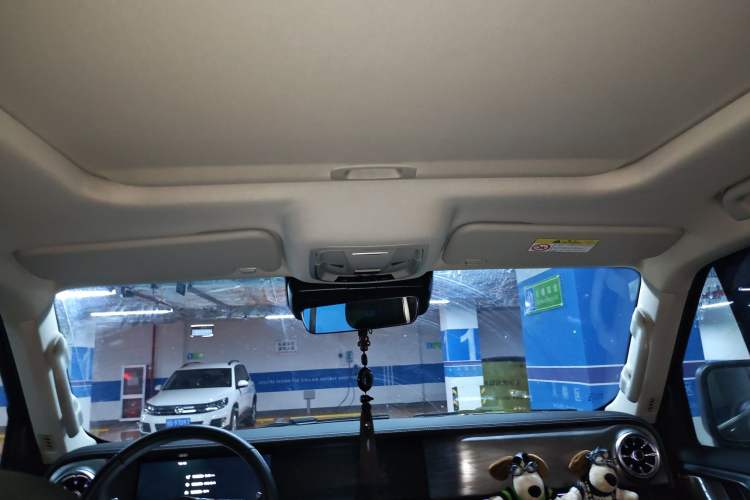 Used Tank 300 2024 2.0T Conqueror
