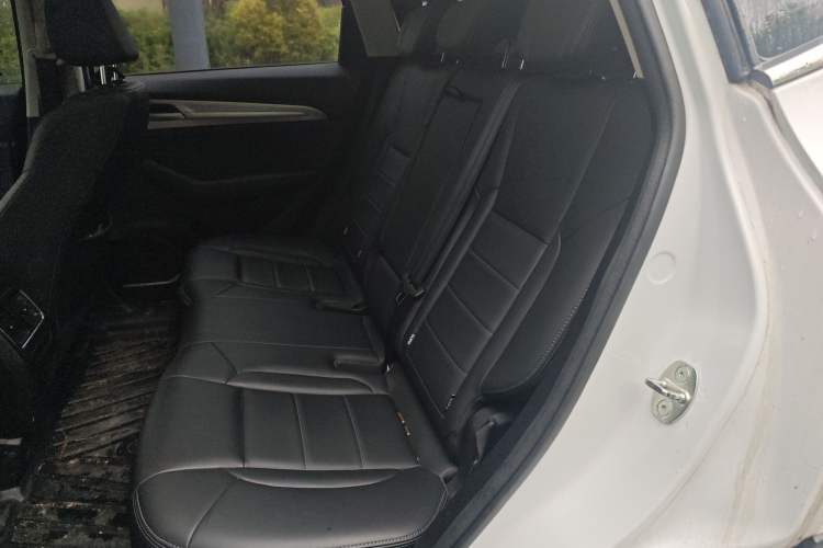 Used Haval F7 2020 1.5T Two-Wheel Drive i-Type Left Rear Seat
