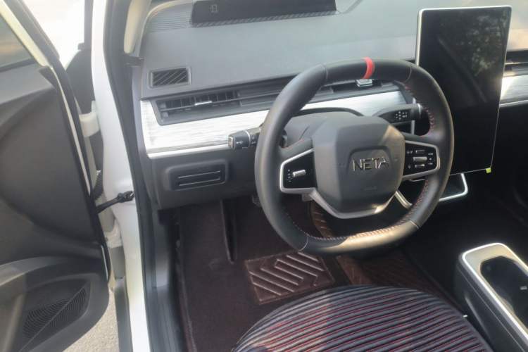 Used NETA V 