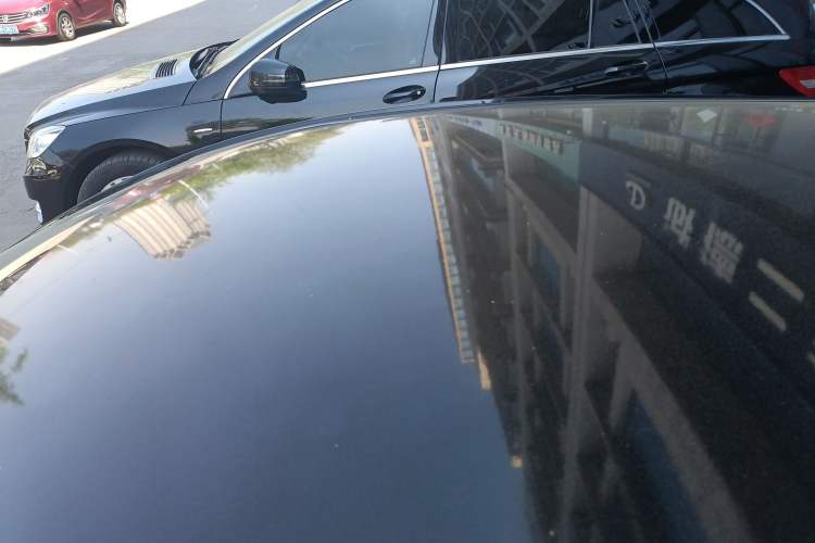 Used SOL E10X 2022 Flower Fairy Style Baby's Breath
