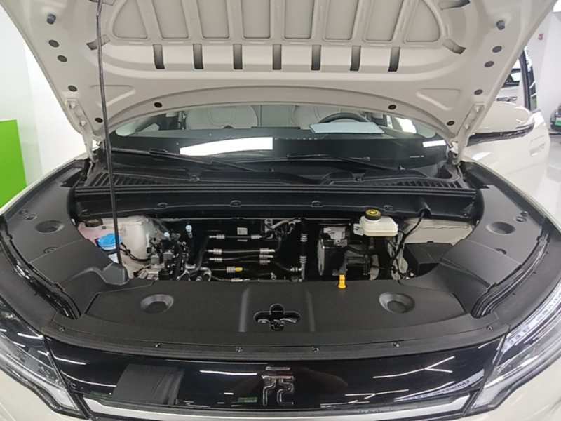 Used BYD Yuan UP 2025 Model 301KM Leading Version — 19