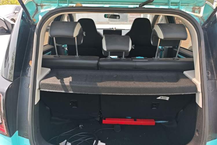 Used SOL E10X 2022 Flower Fairy Design Sunflower Trunk