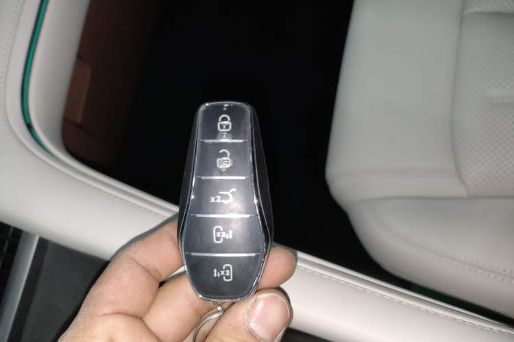 Used BYD Xia 2025 DM-i 1.5T 180km Excellence Model
