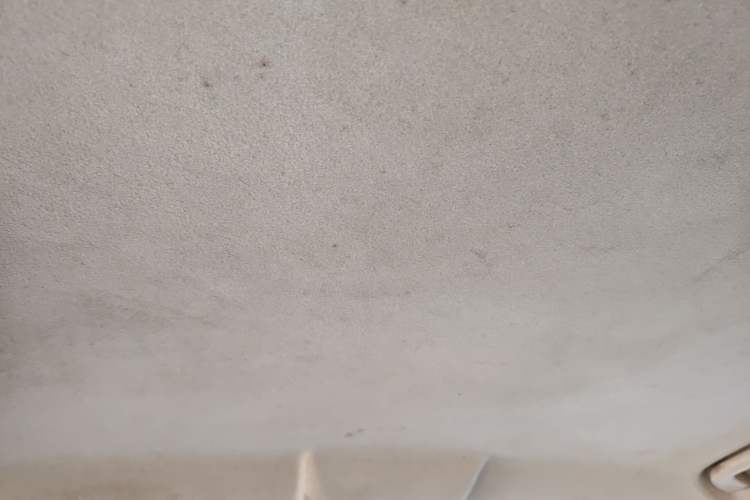 Used GAC Trumpchi GA5 2012 1.8L Manual Comfort Version Headliner