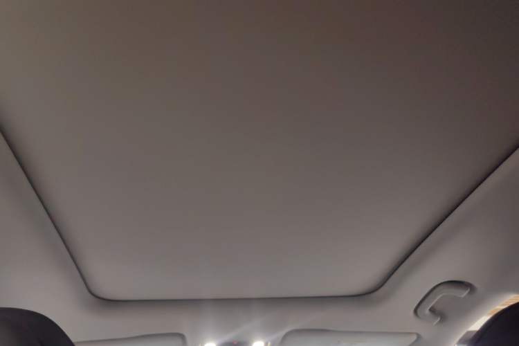 Used Leapmotor C11 2023 Extended-Range 285 Comfort Edition Headliner