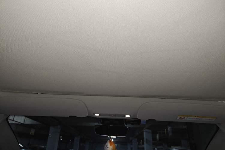 Used Tesla Model 3 2021 Standard Range Rear-Wheel Drive Upgraded Version 3D6 Headliner